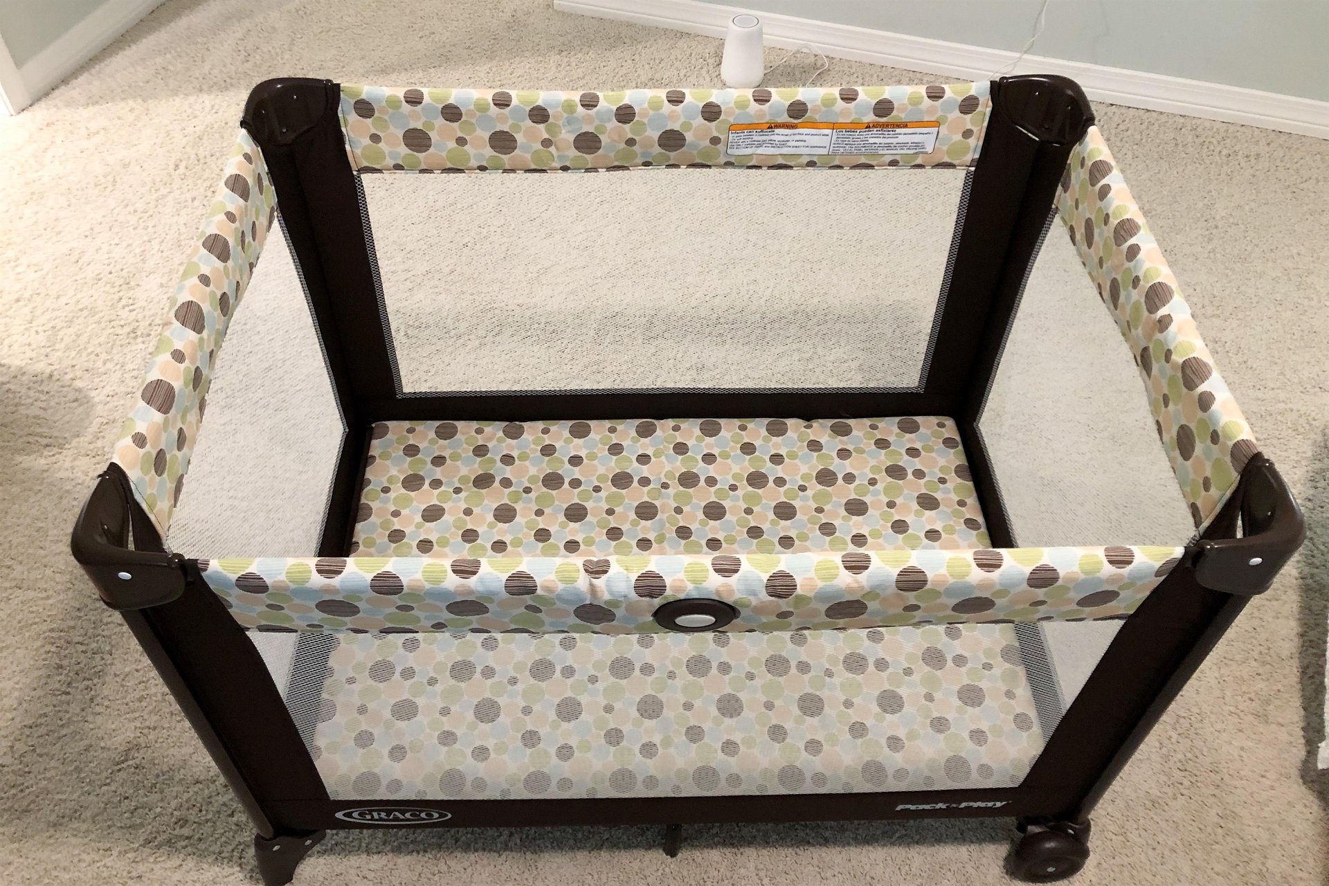 The Sea Turtle at Lost Key 26