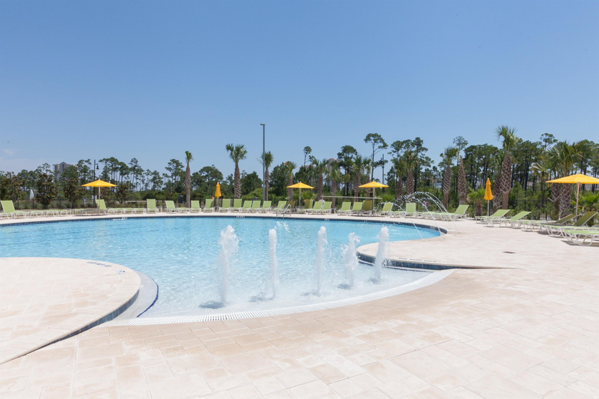 The Sea Turtle at Lost Key 45