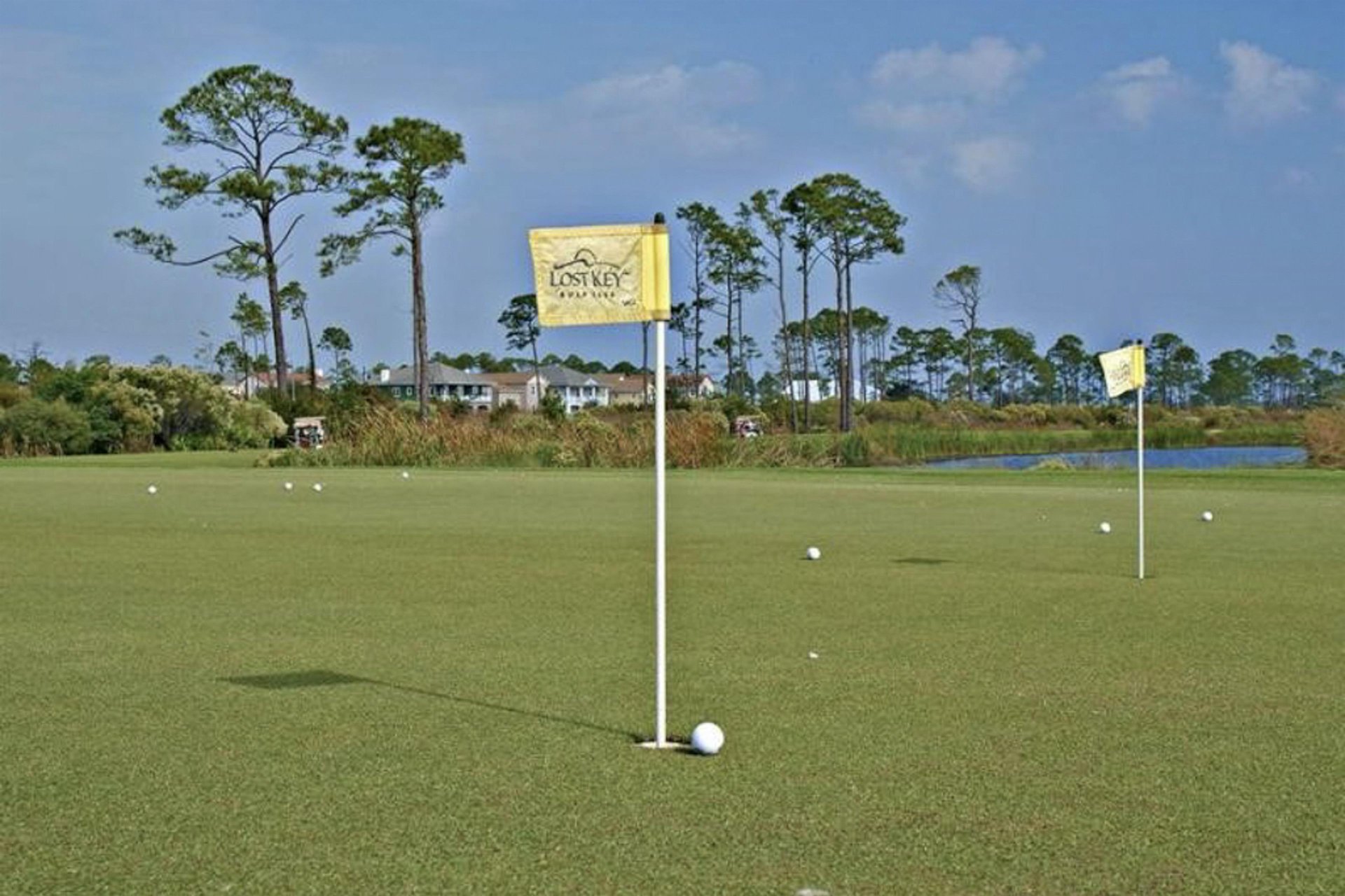 The Sea Turtle at Lost Key 46