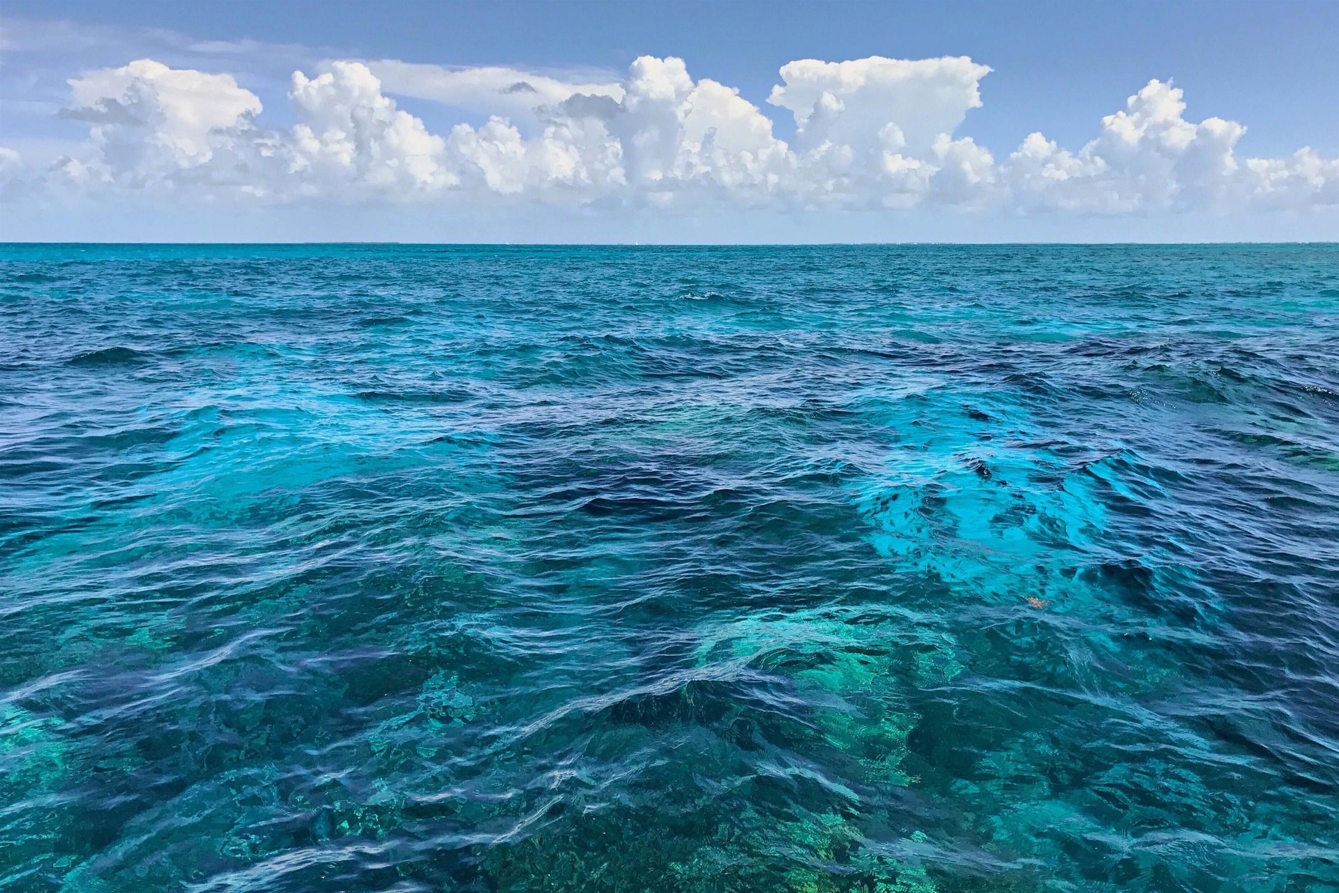 Casa Caribe at Duval Square, Unit R9 19