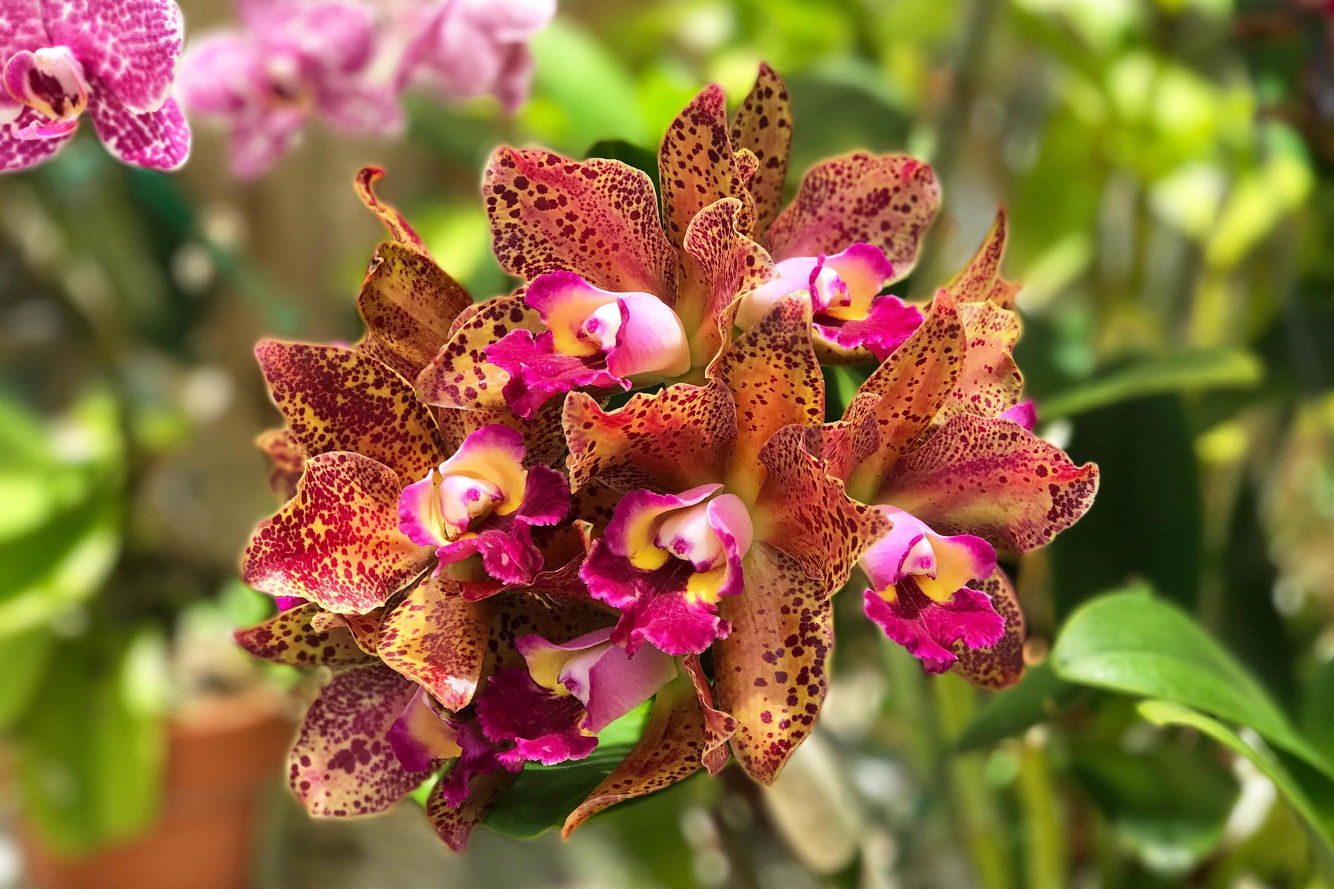 Casa Caribe at Duval Square, Unit R9 28