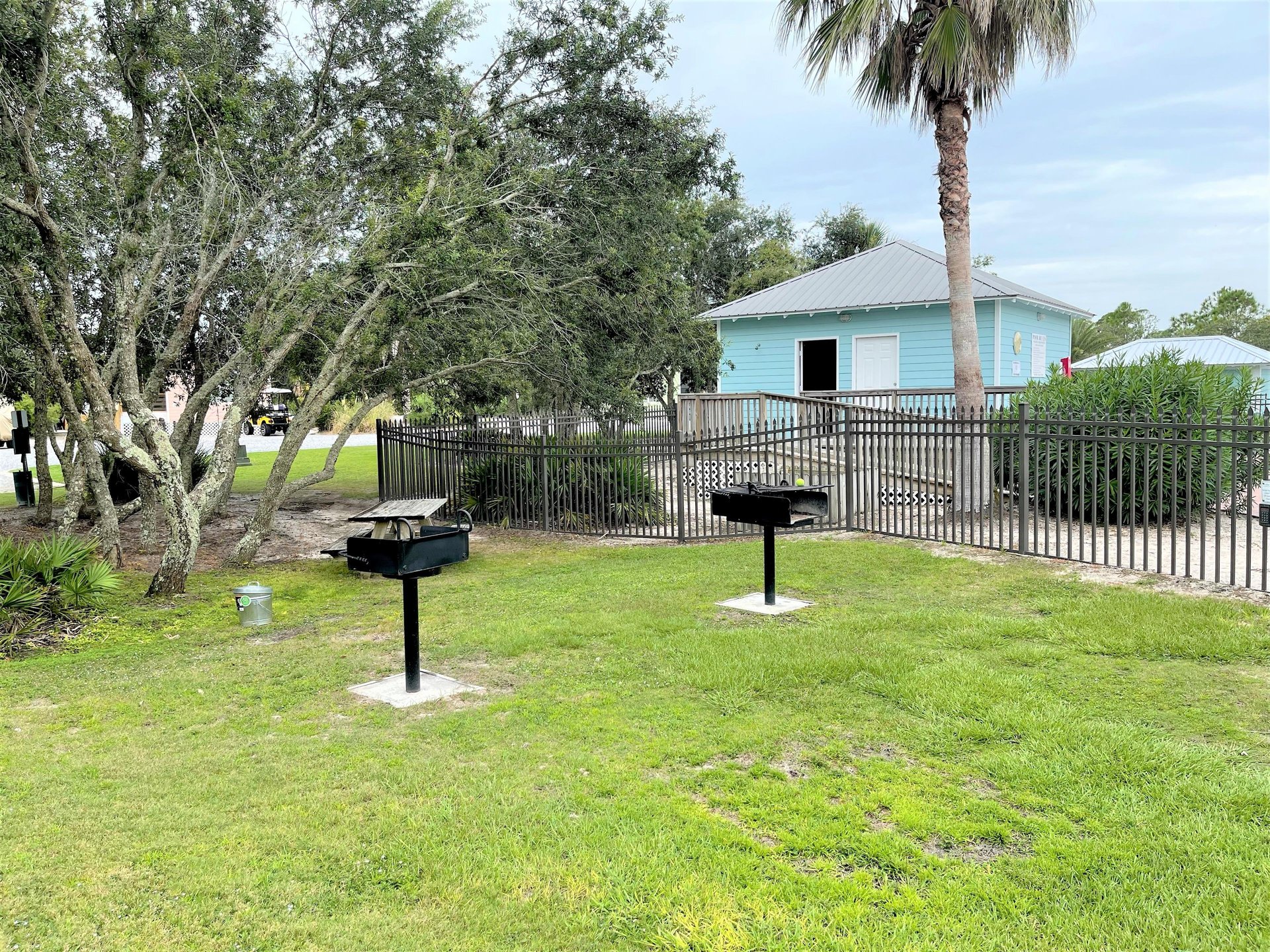 After Dune Delight  The Rookery 3100 25