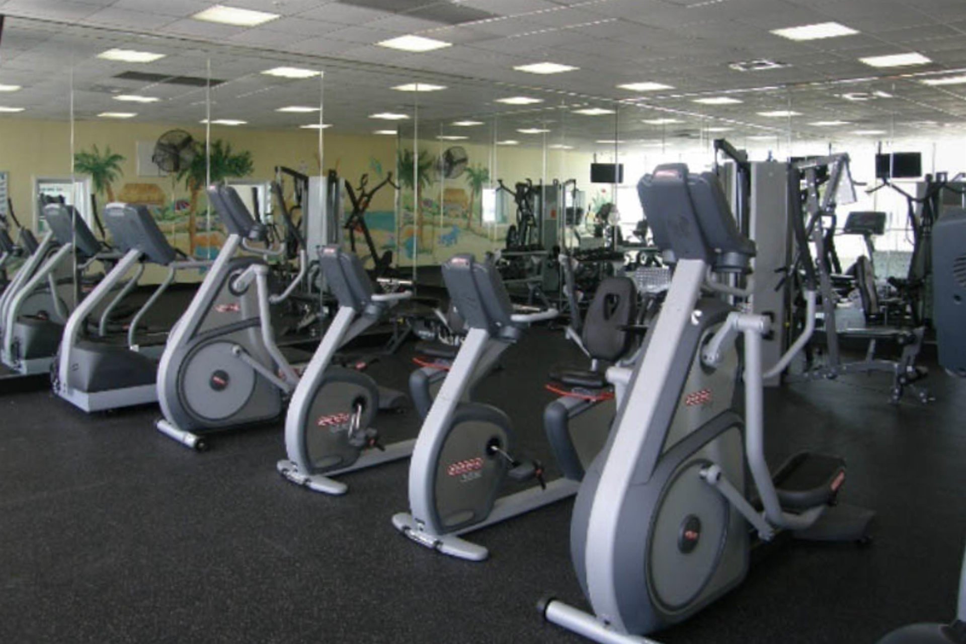 Majestic Sun B0607 21