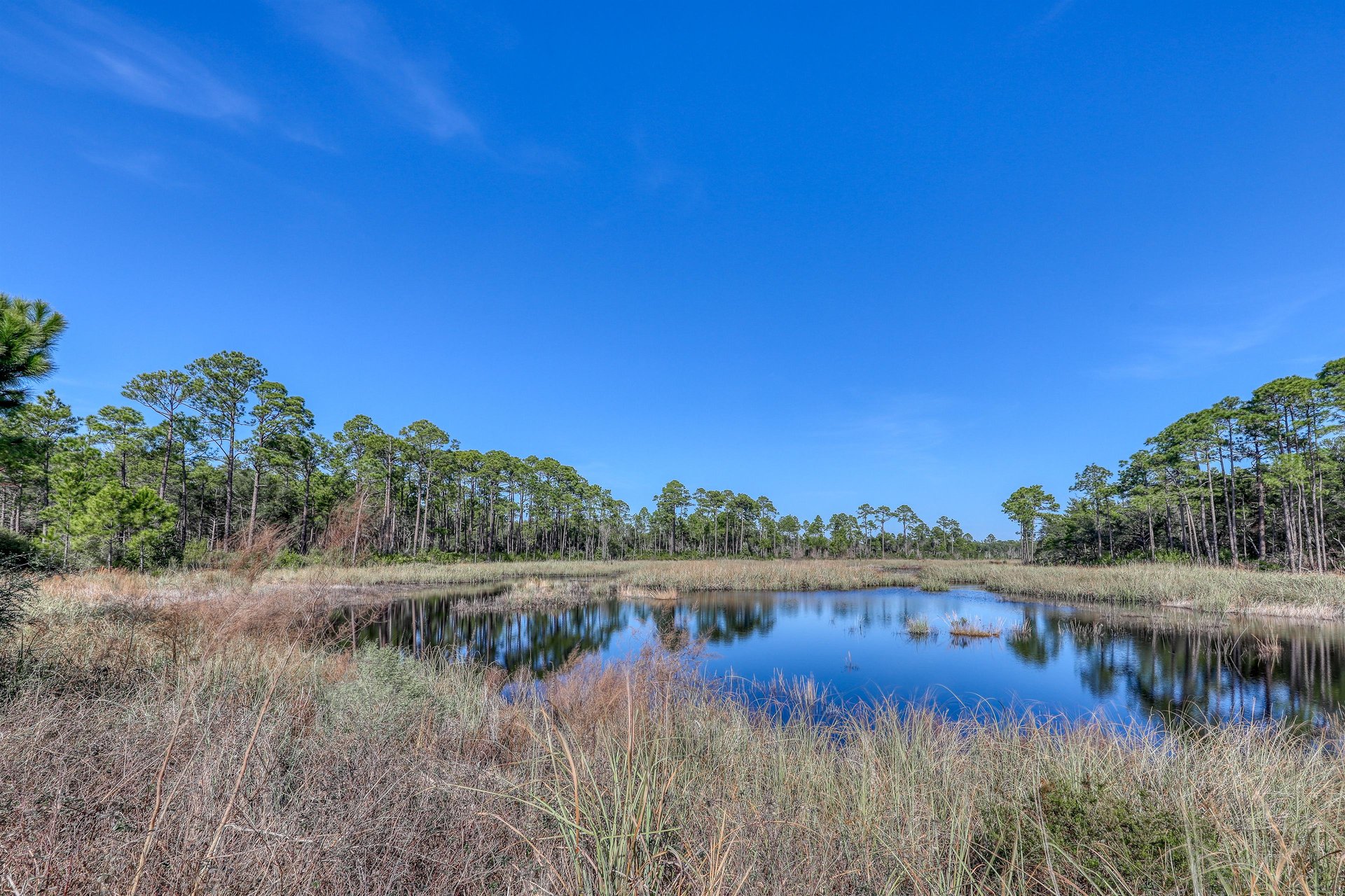 Village of South Walton B185 17