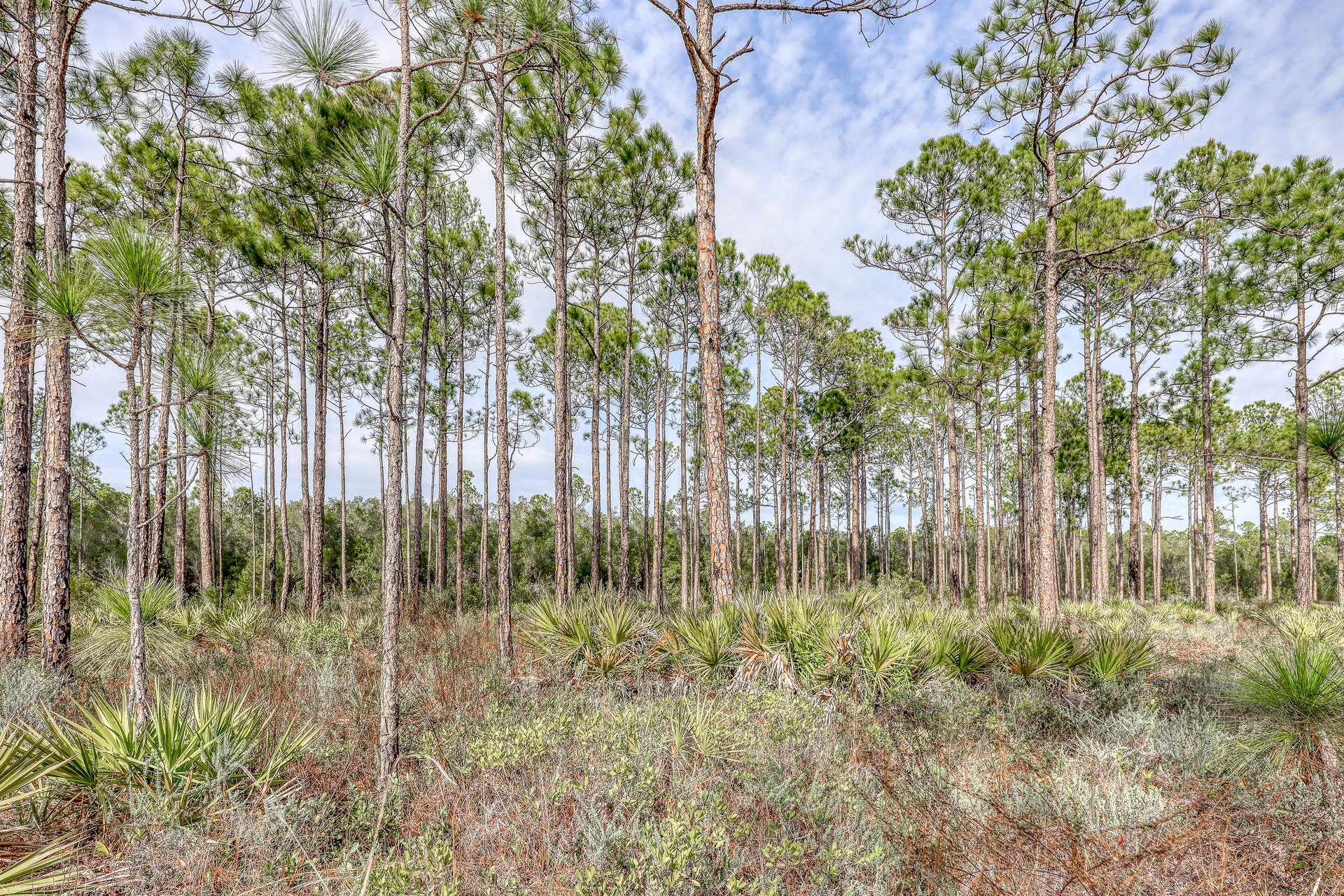 Village of South Walton B185 19