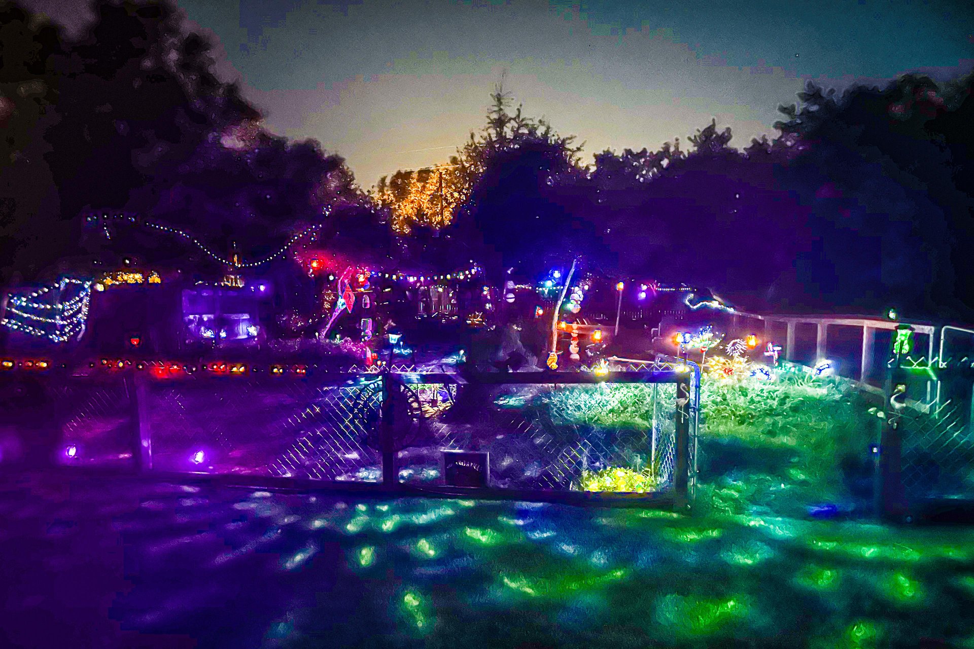 Dogaritaville on the Key 3