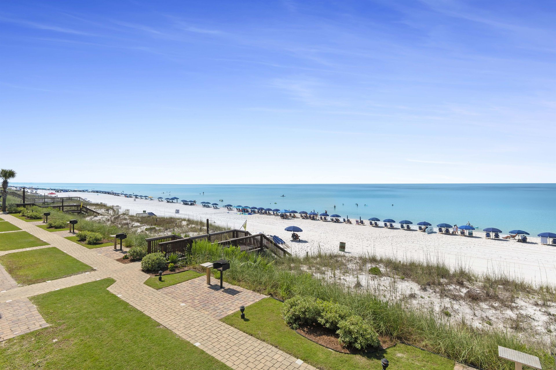 Coral Reef Club 26 20