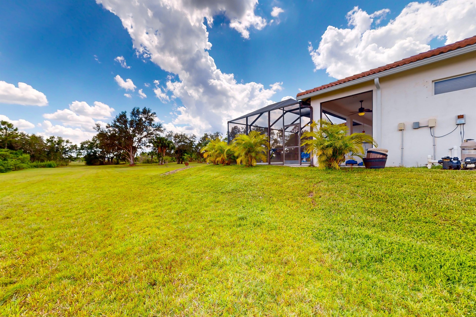 Swaying Palms Estate 36