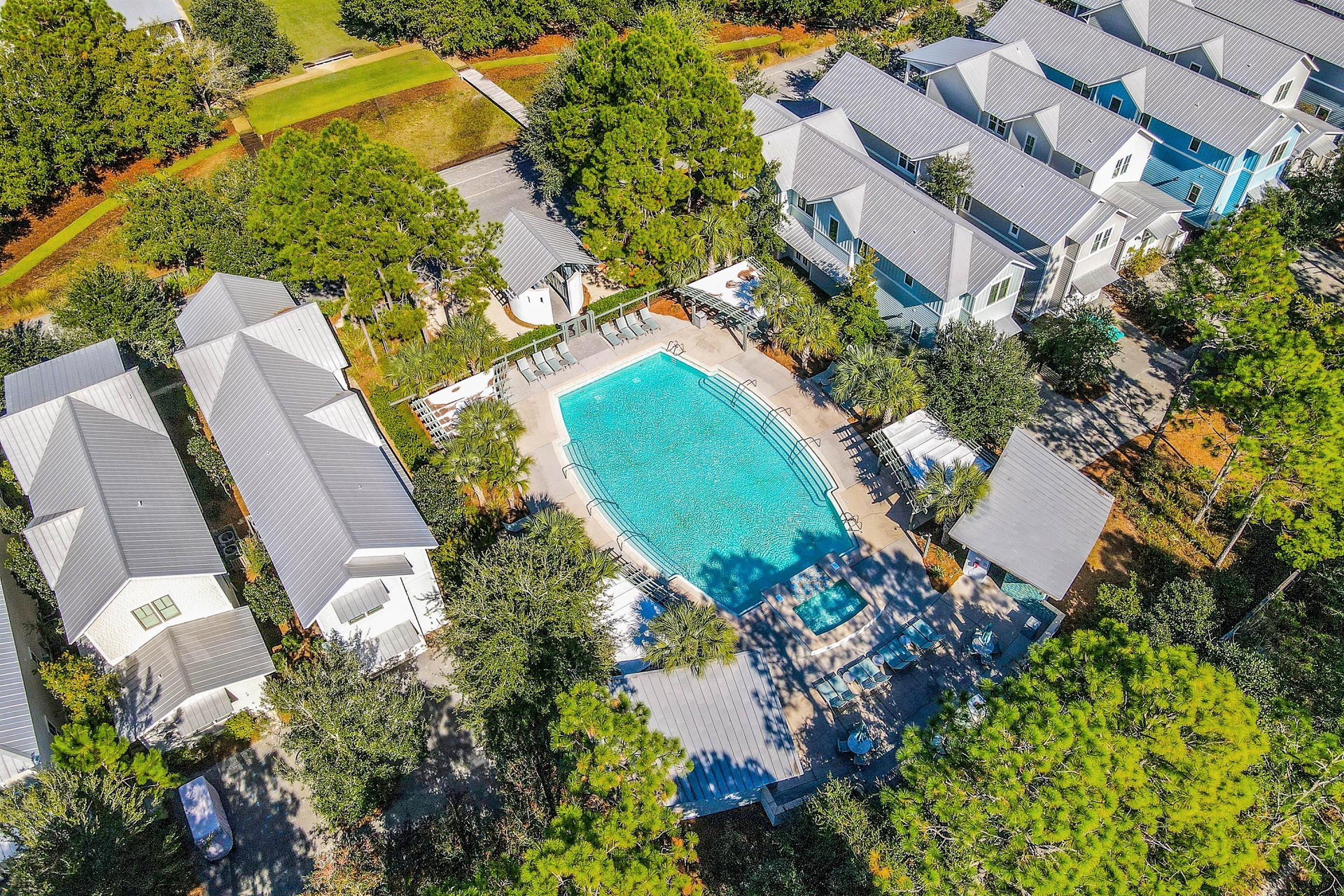 Watercolor   Summersweet Sanctuary 3