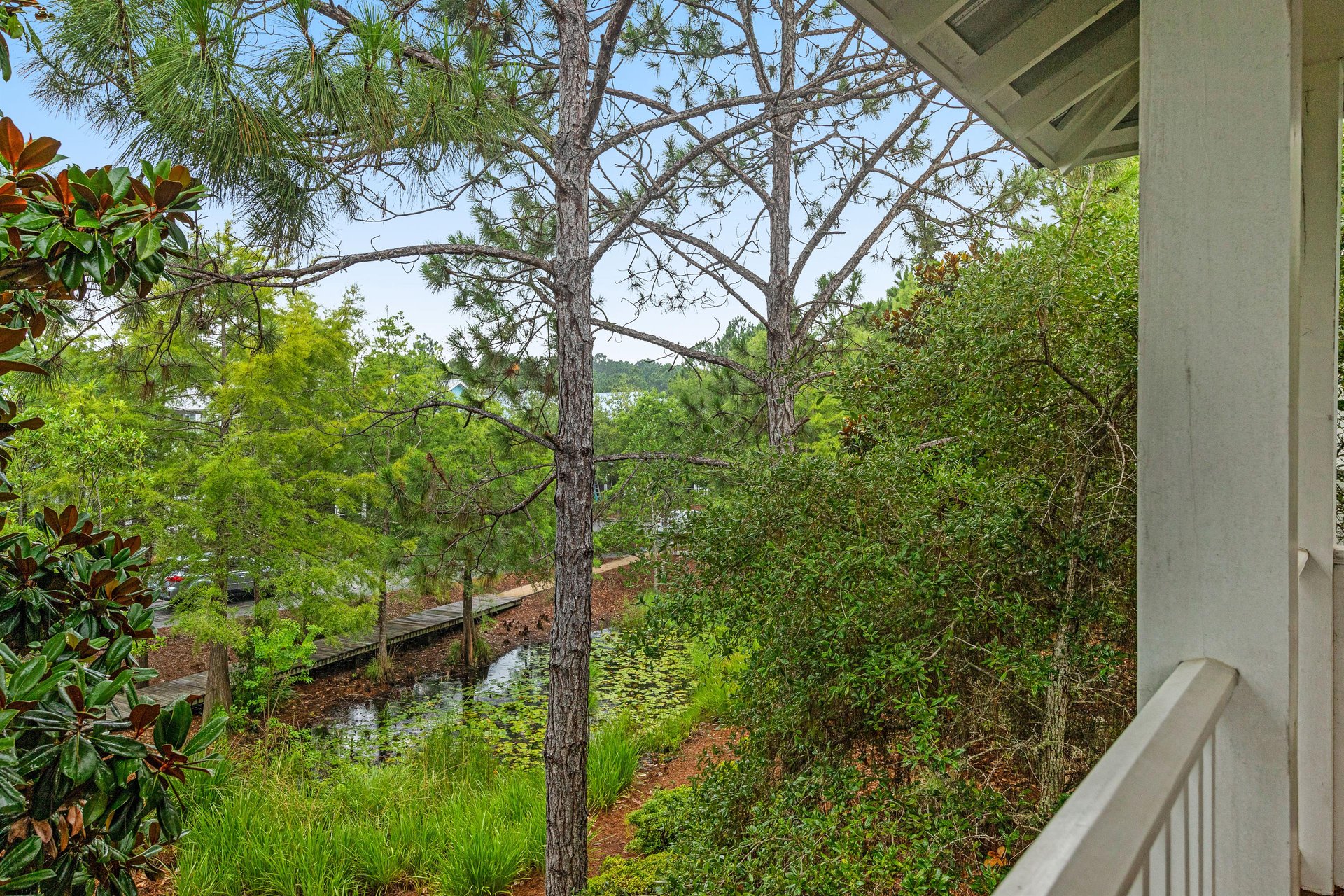 Watercolor   Summersweet Sanctuary 31