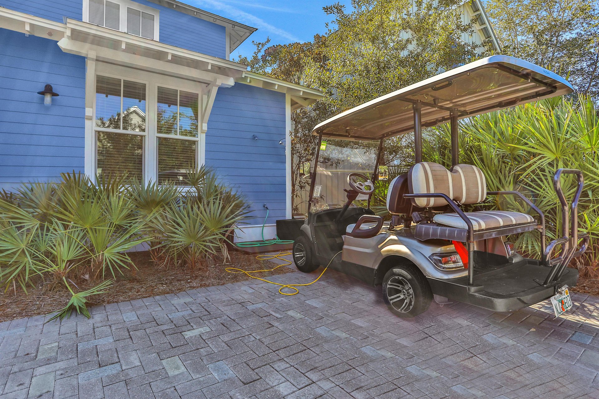 Watercolor   Summersweet Sanctuary 35