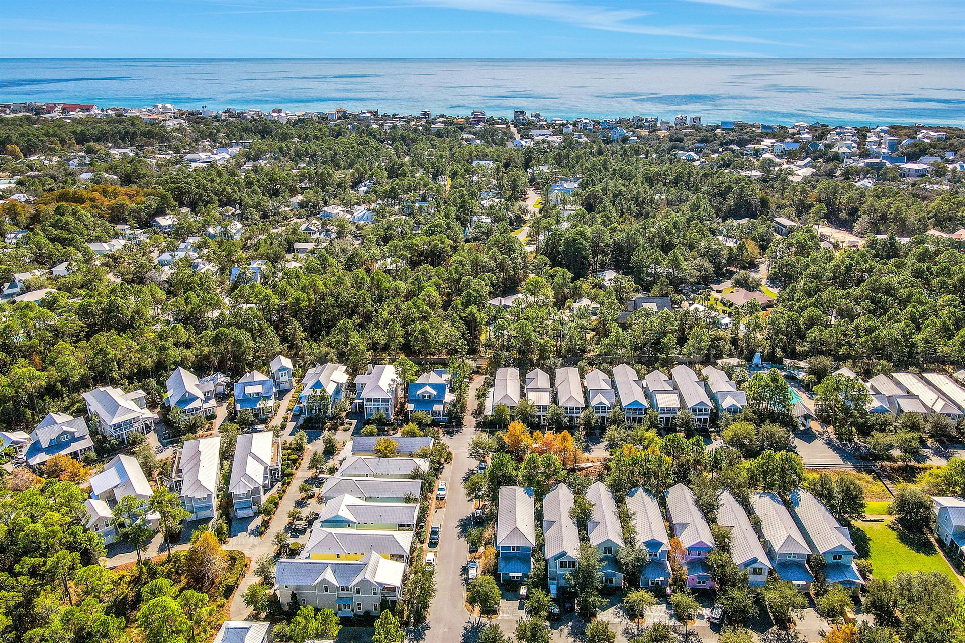 Watercolor   Summersweet Sanctuary 39