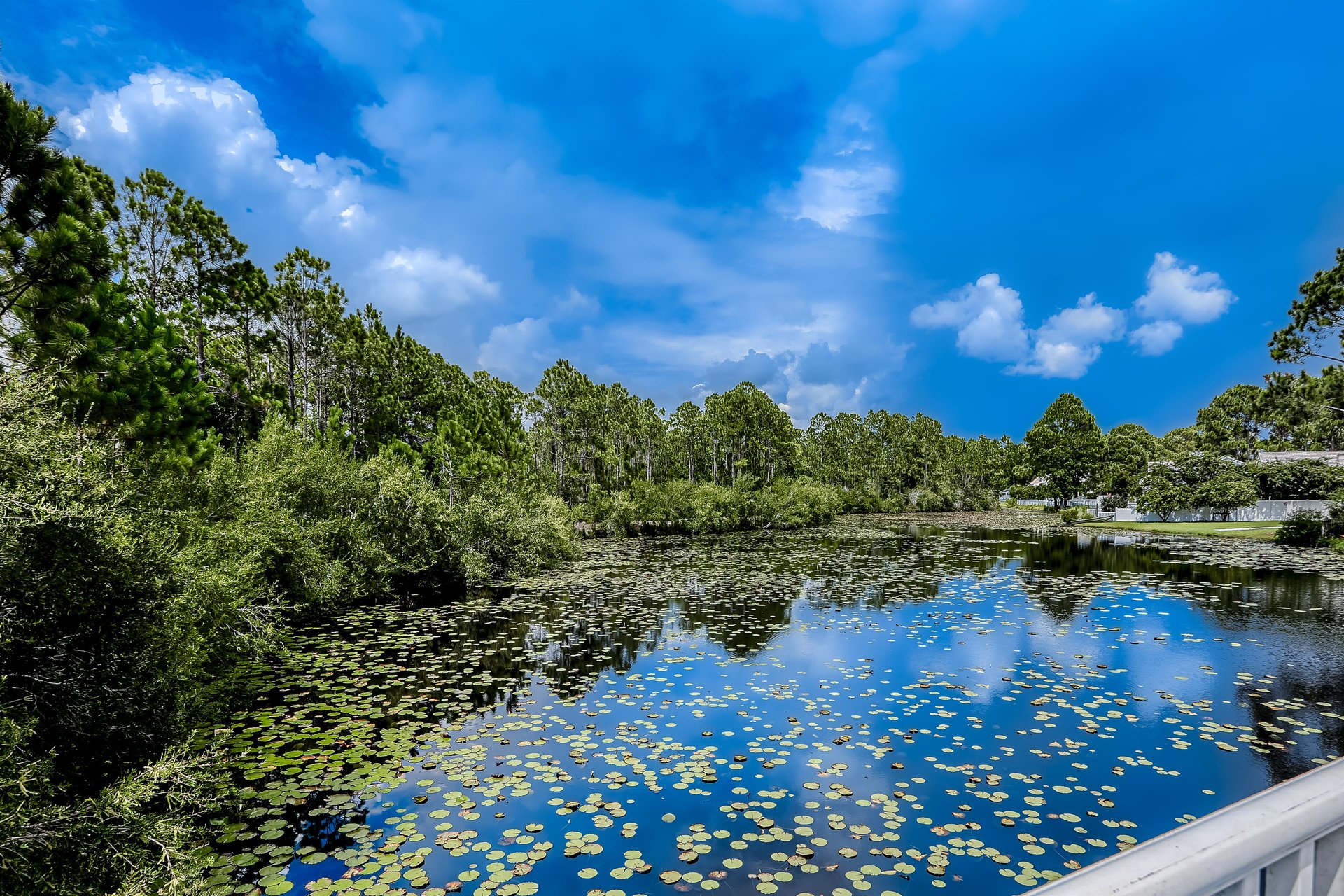 Seagrove Highlands 1307 38