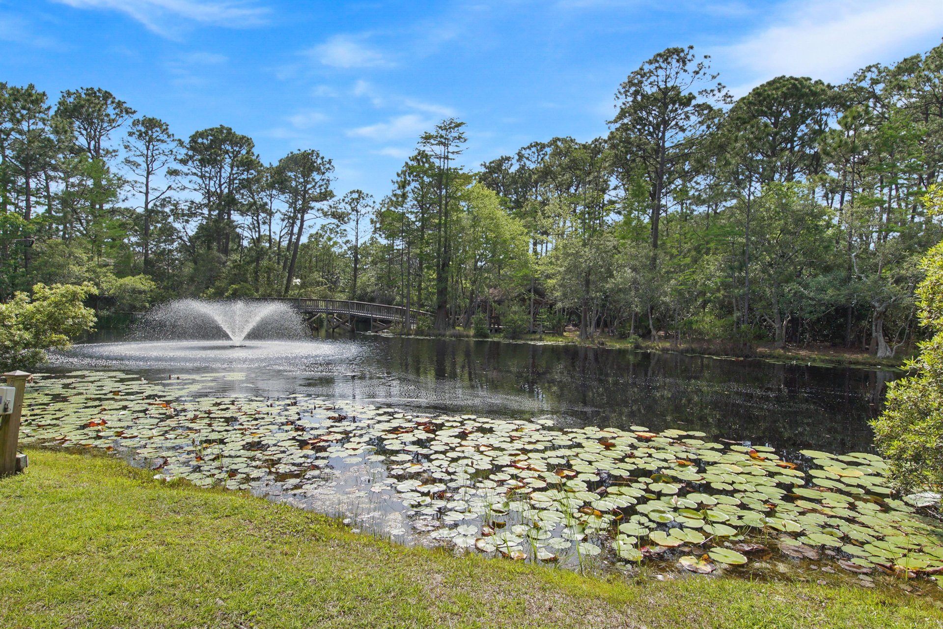 Somewhere in the Sun 31