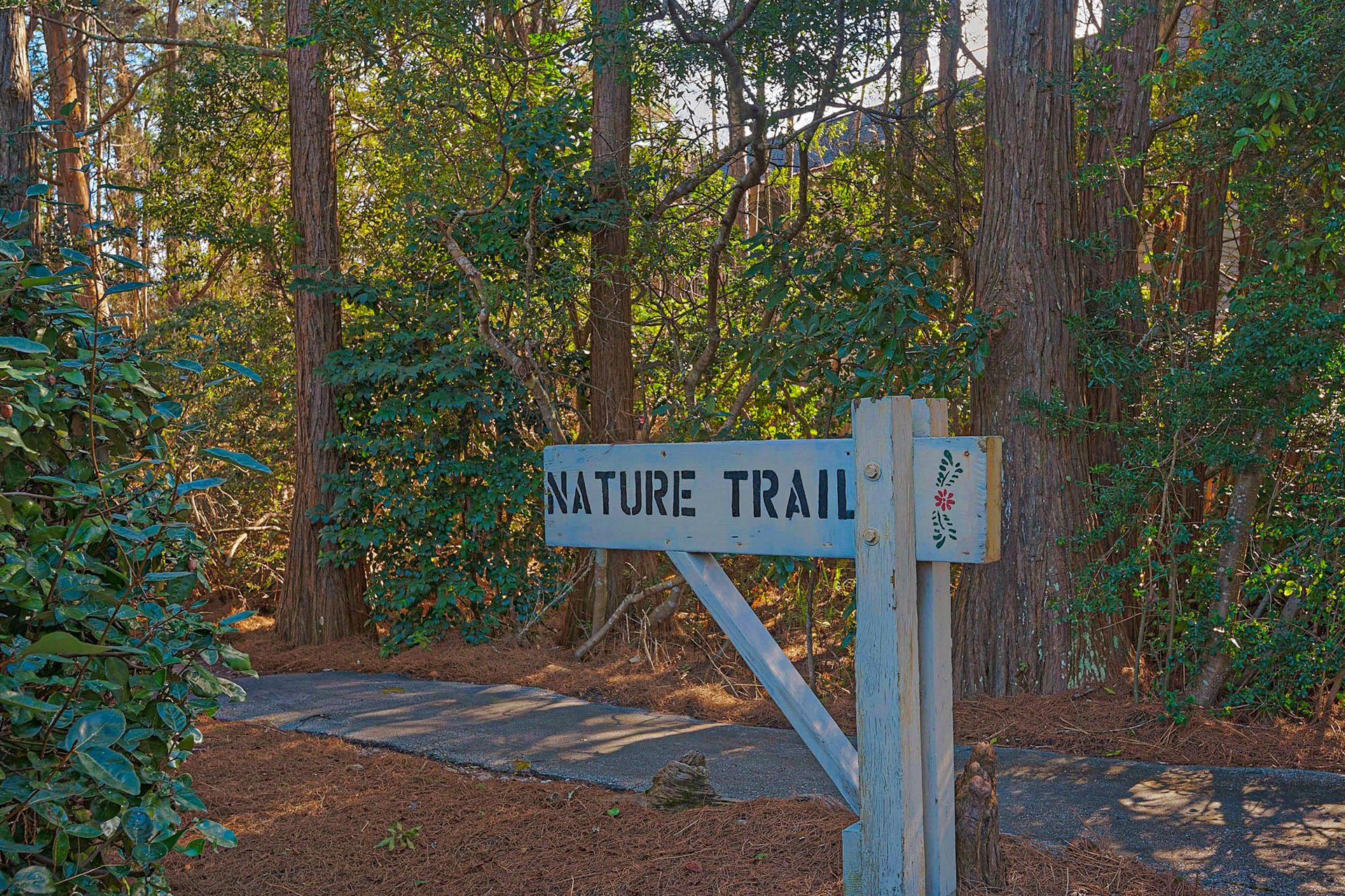 Somewhere in the Sun 34