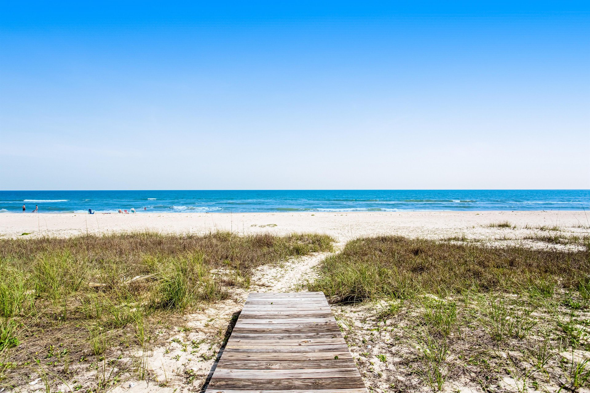 The Beachwalker 22