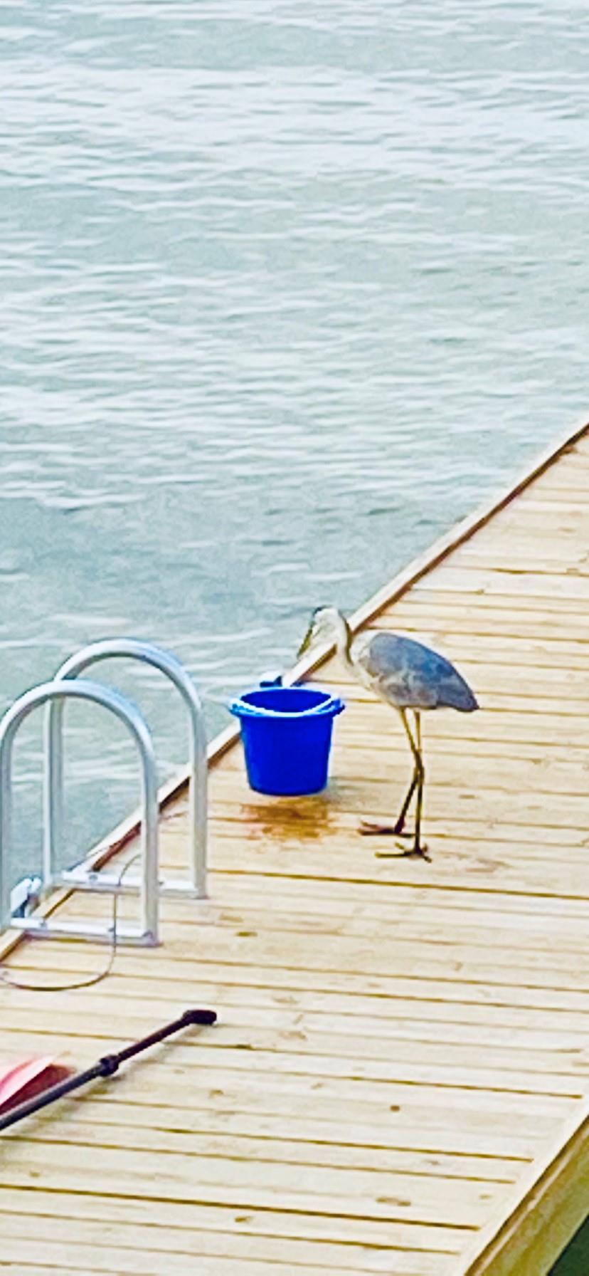 Ensenada Uno 1705  THE LAUGHING FISH 22