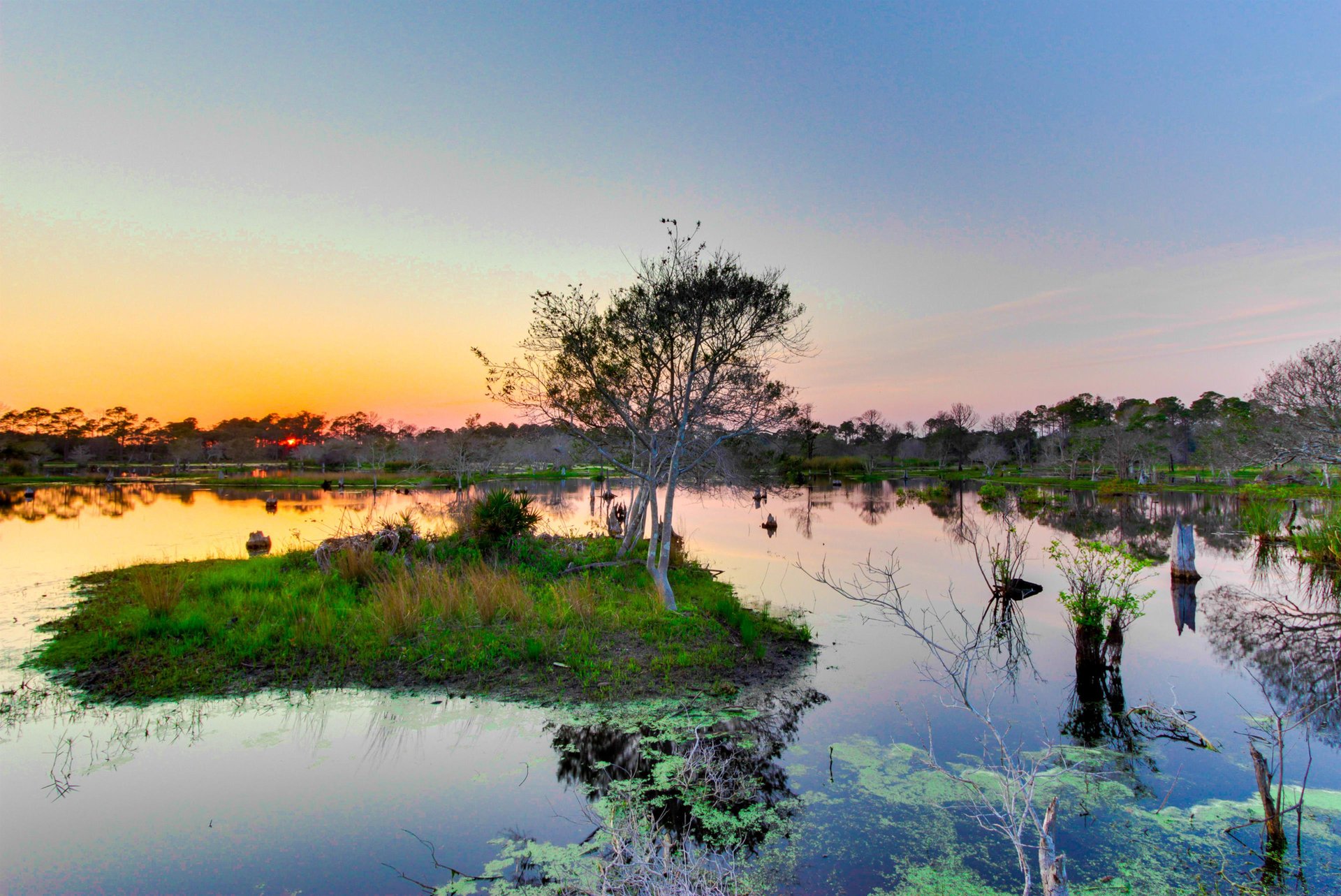 Long Beach Resort Tower 4901 49
