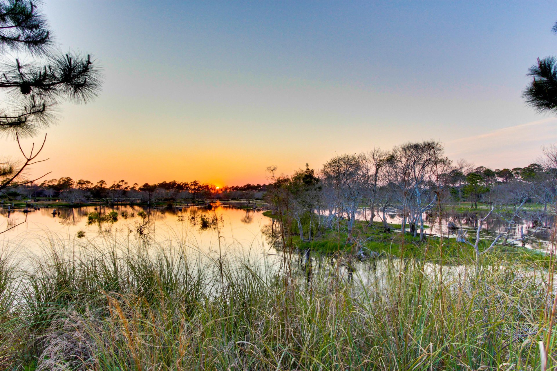 Long Beach Resort Tower 4901 50