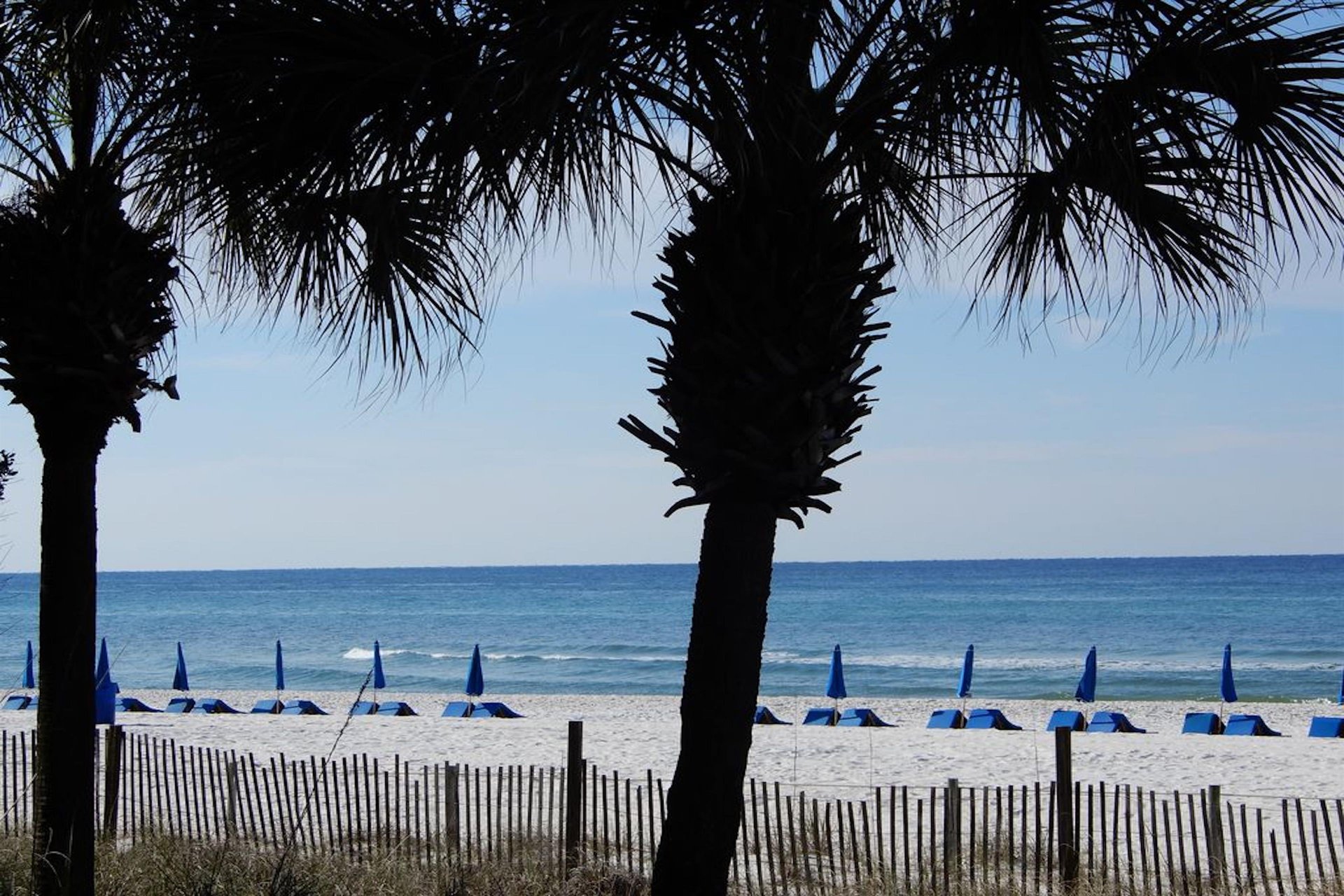 Long Beach Resort Tower 3105 18