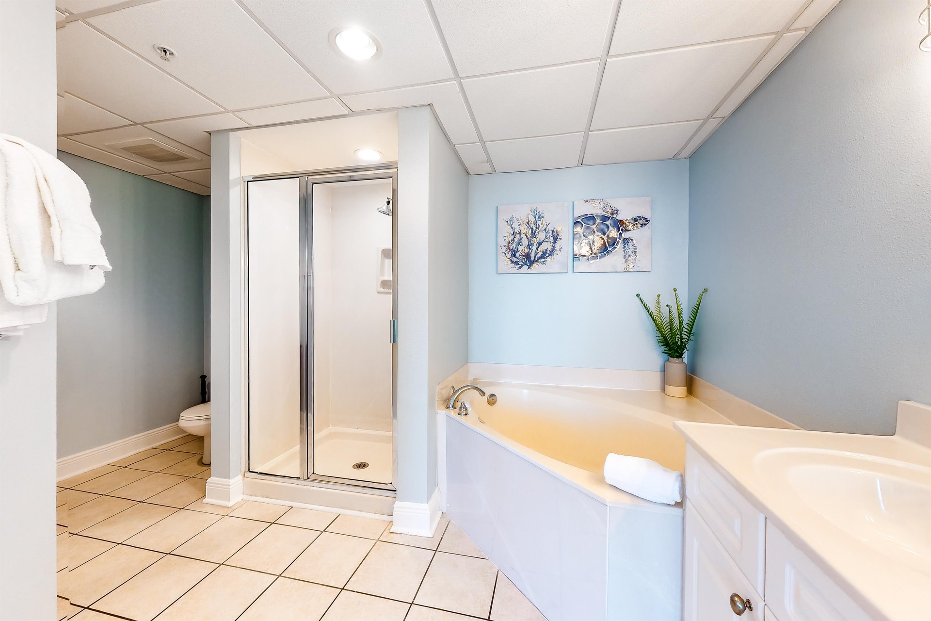 Emerald Beach Resort 2036 13