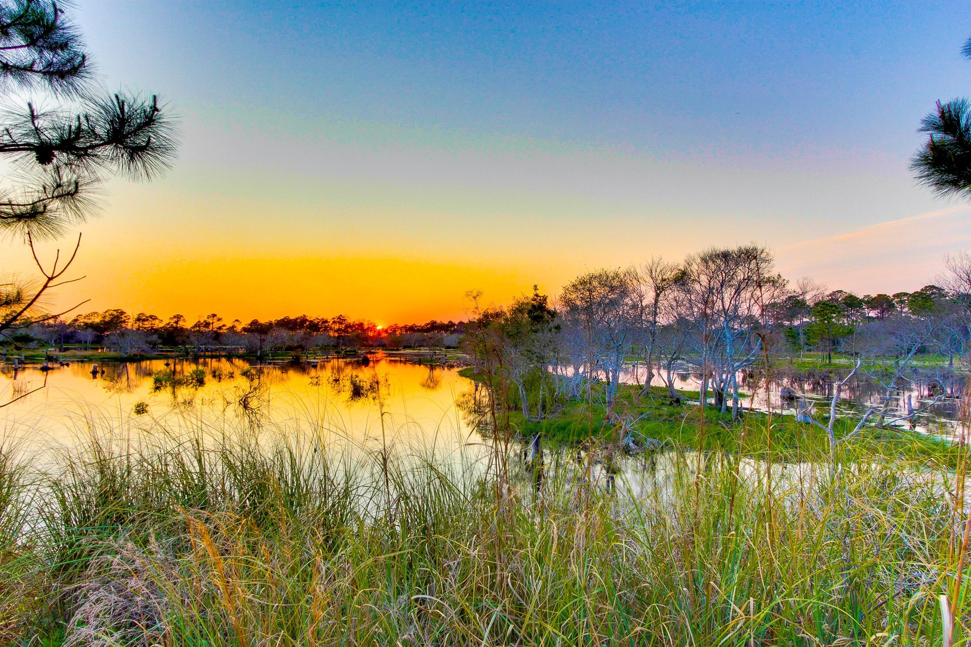 Emerald Beach Resort 2036 45