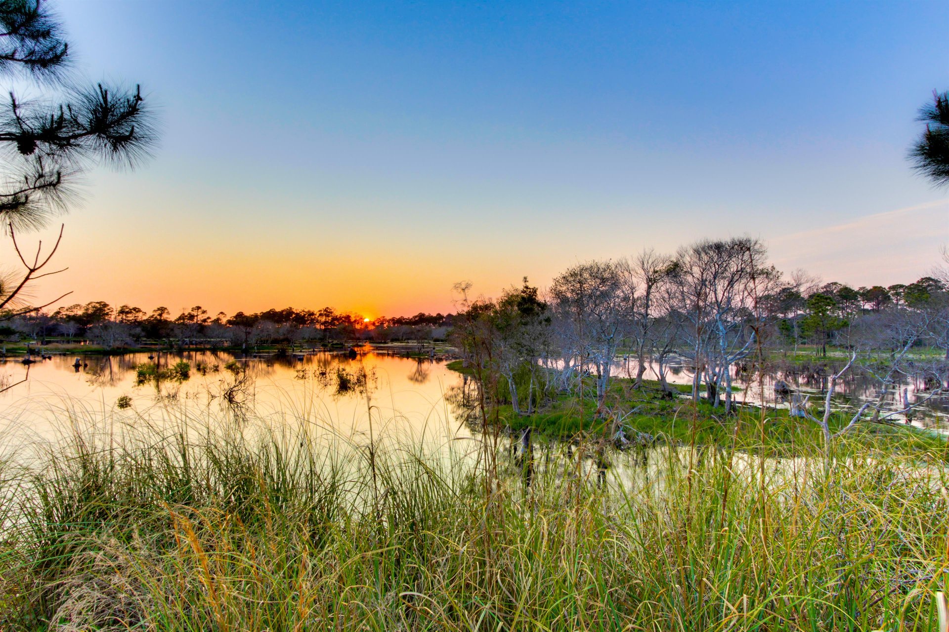 Celadon Beach 1901 37