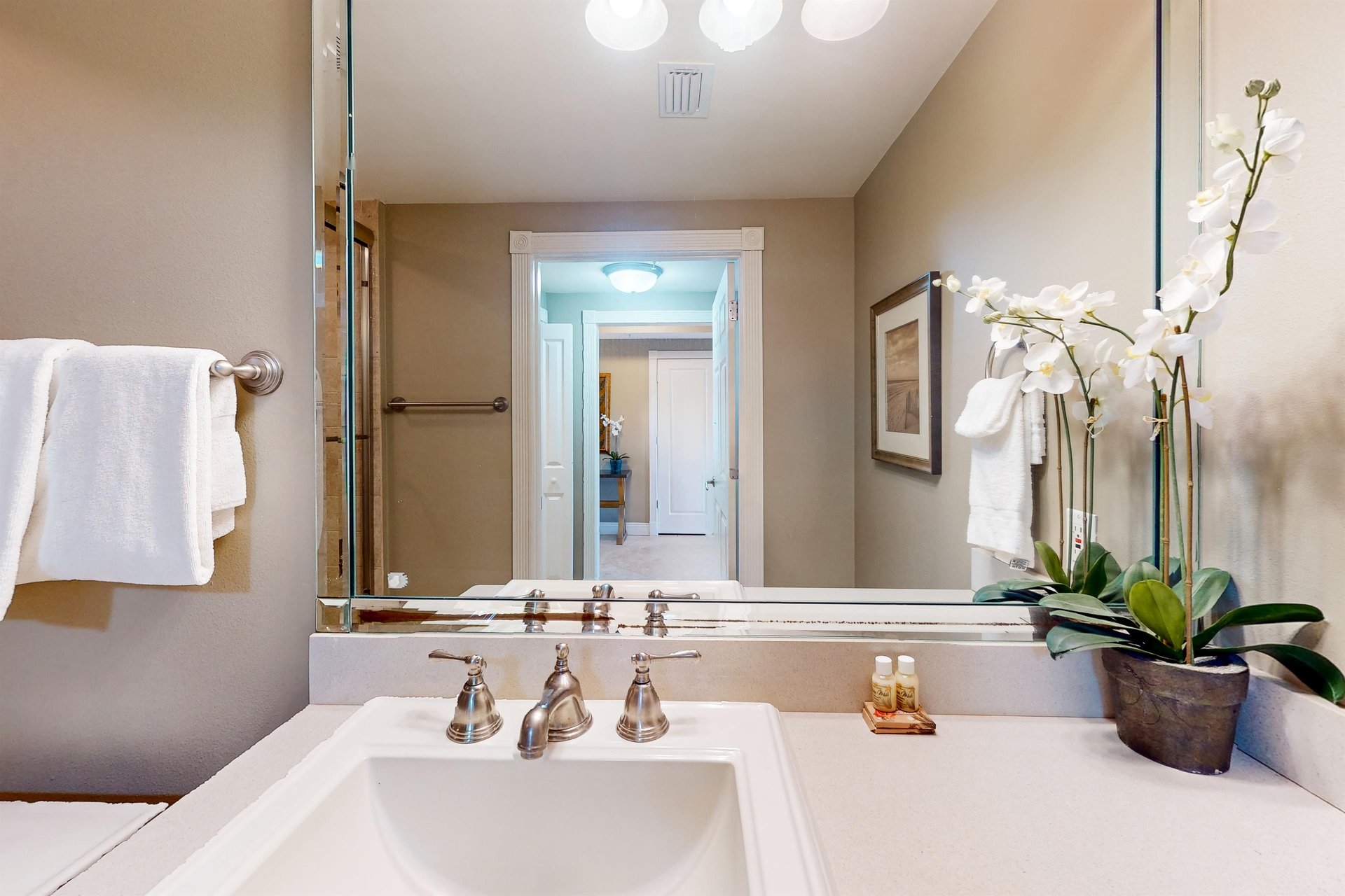 Majestic Sun B1204 27