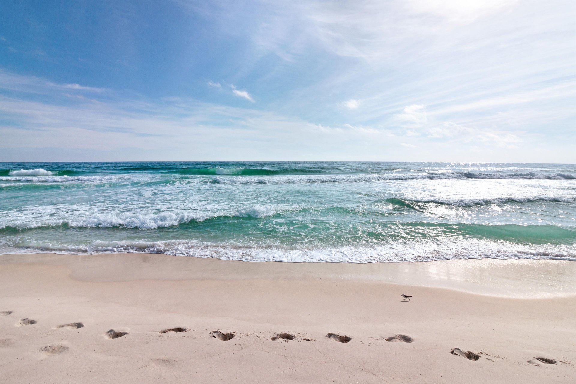 Dolphin Point, Unit 501B 16