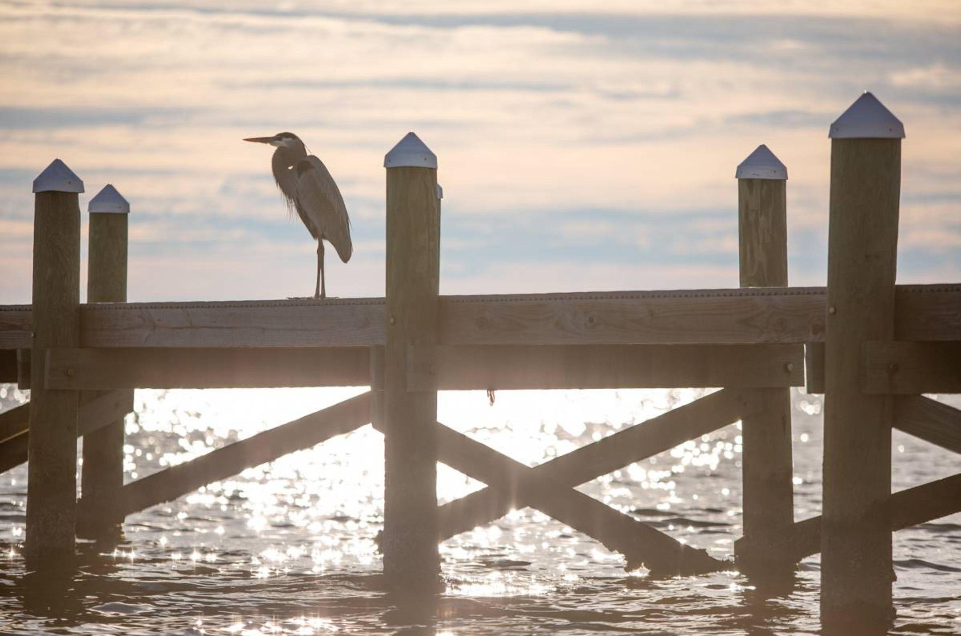 470775 Sundunes Navarre Beach  158 0 202312 159