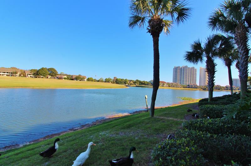 470999 Destin Vacation Rentals Seascape Villas 9324069