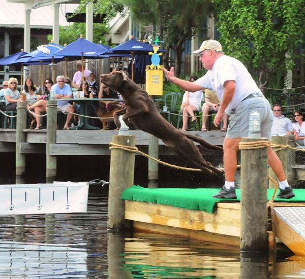 Sandestin Golf and Beach Resort in Destin Florida