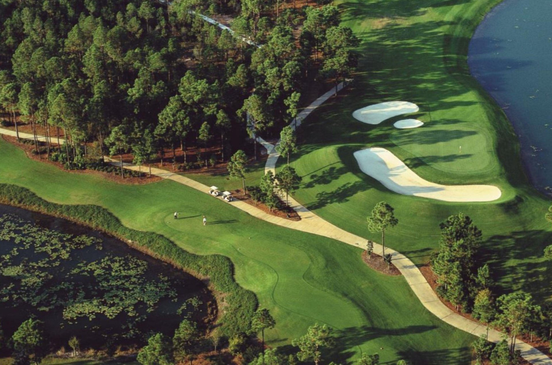 471833 Sandestin Golf And Beach Resort  655 0 202310 29454