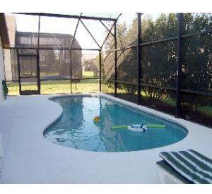 Orange Tree in Orlando Florida