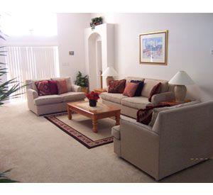 Orange Tree in Orlando Florida