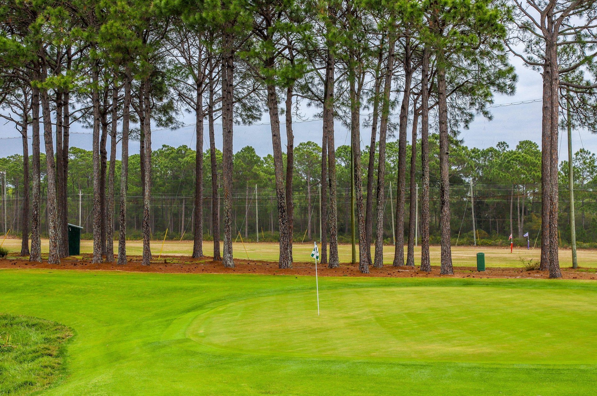 Towering pines provide shade over some of the courses 18holes.