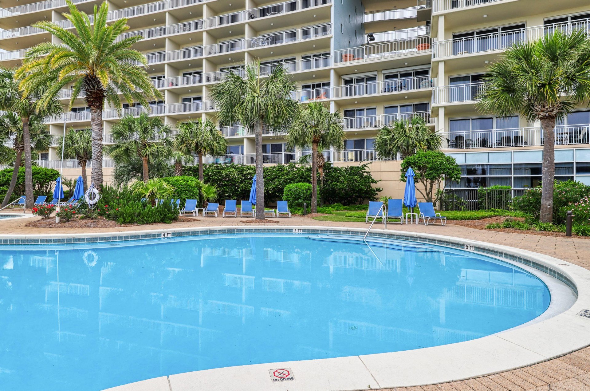 The pool and sun deck have loungers lined up for guests to relax and sunbathe