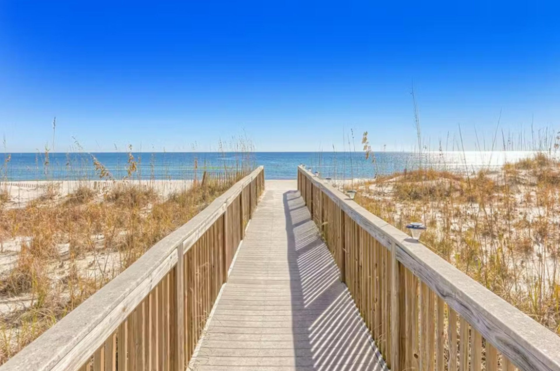 472942 Wind Drift  1272 0 202312 1809