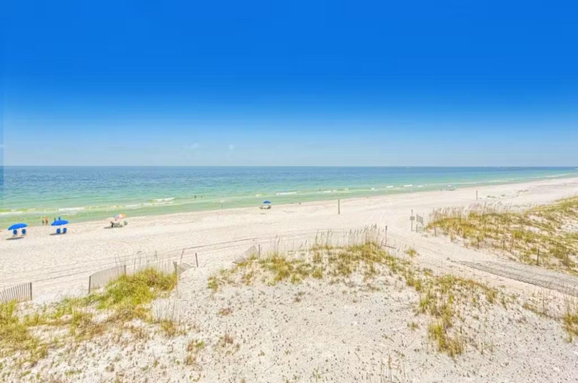 472943 Wind Drift  1272 0 202312 18010