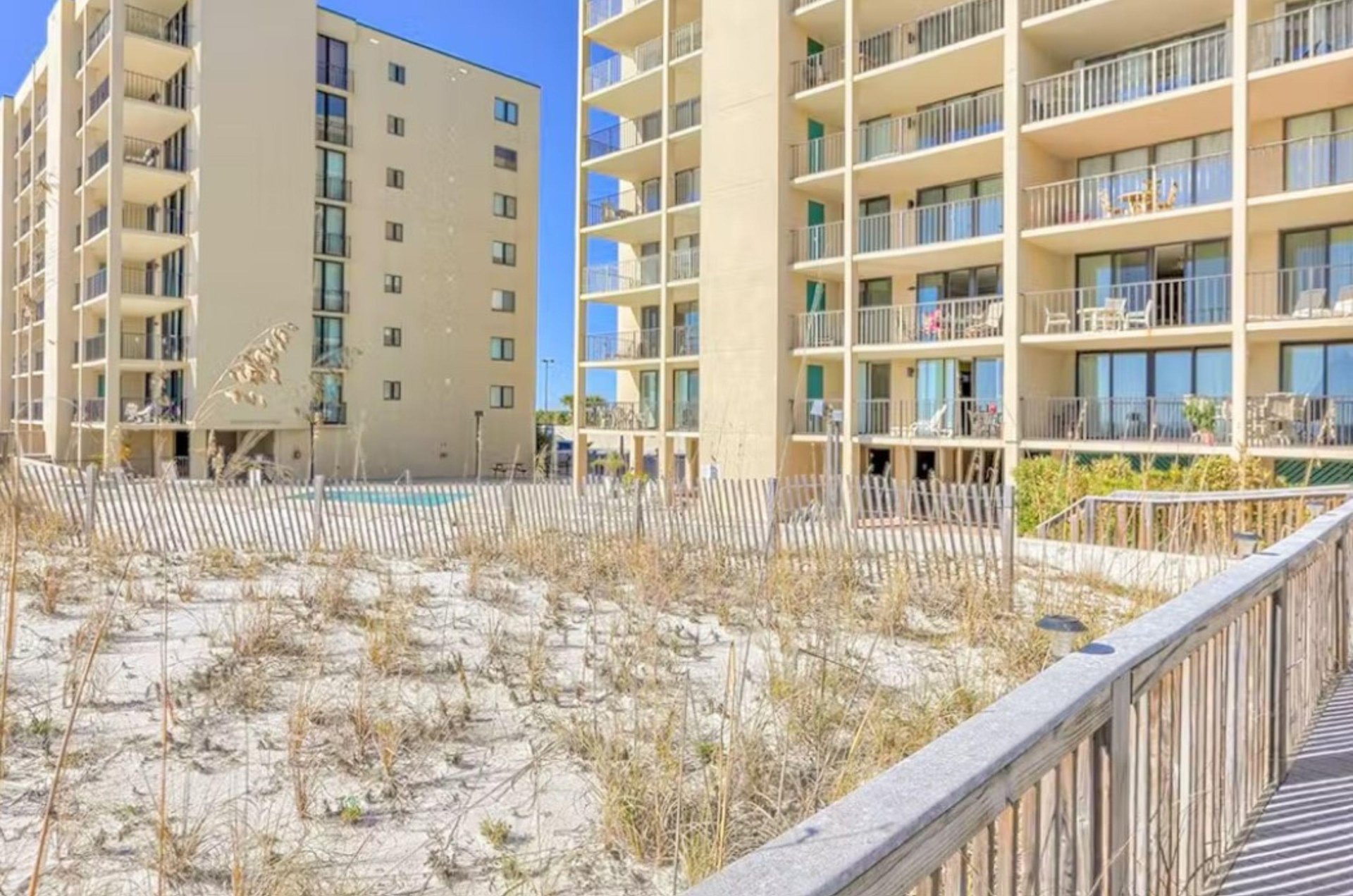 472945 Wind Drift  1272 0 20241 18012