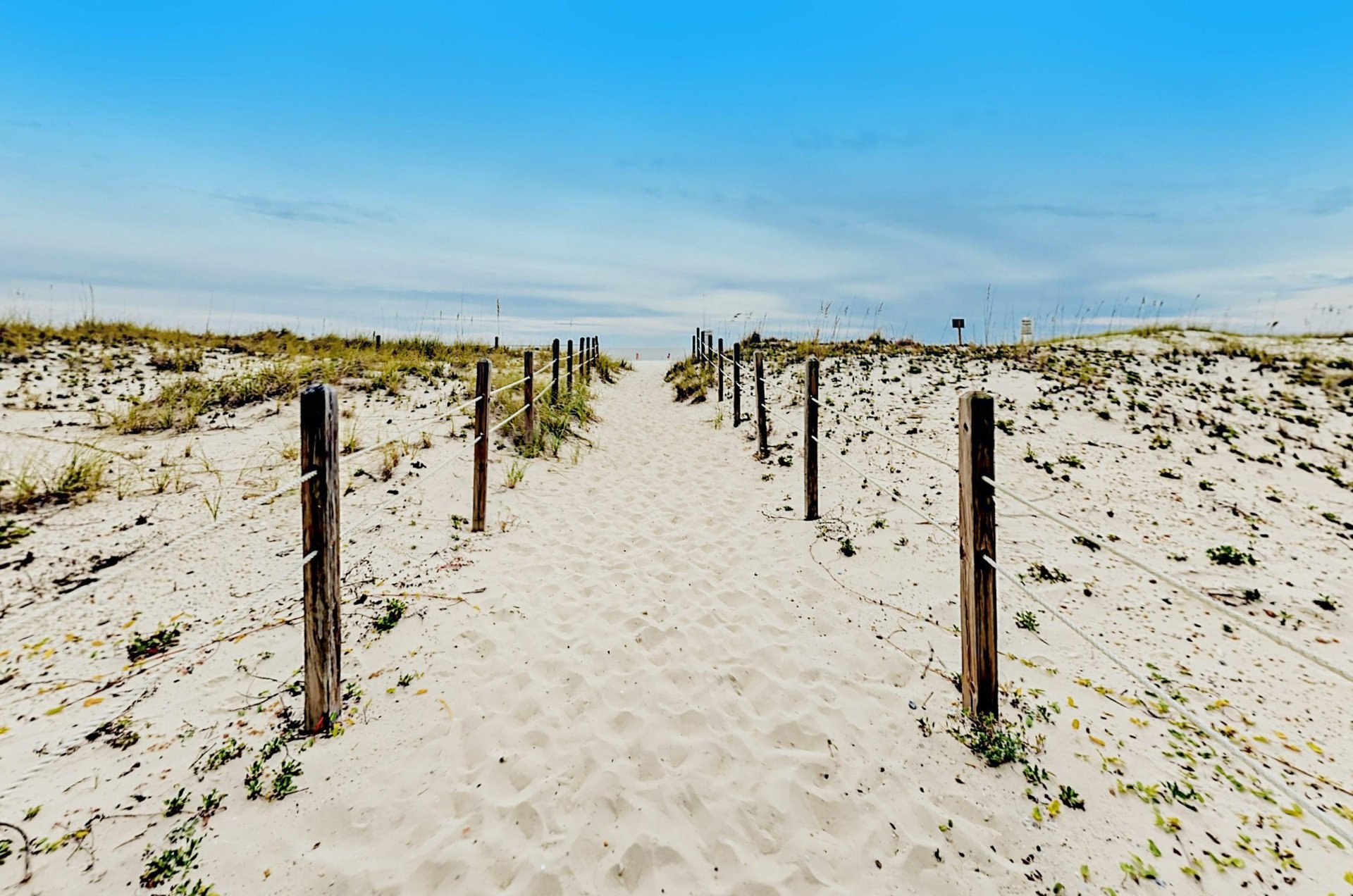 473582 Castaways  1455 0 202311 49