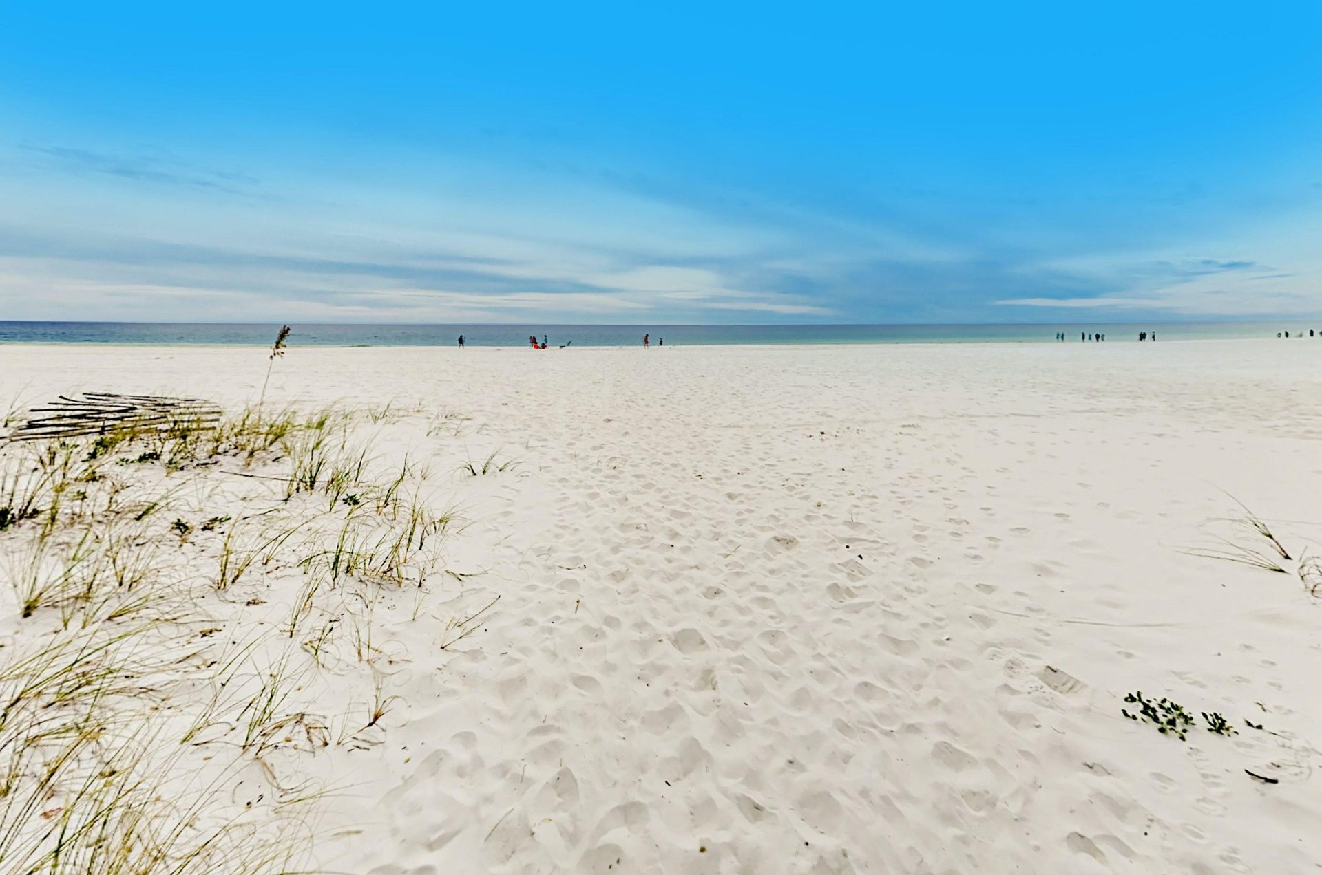 473583 Castaways  1455 0 202311 410