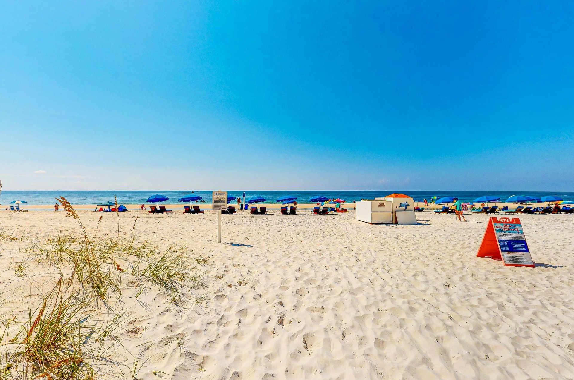 473584 Castaways  1455 0 202311 411