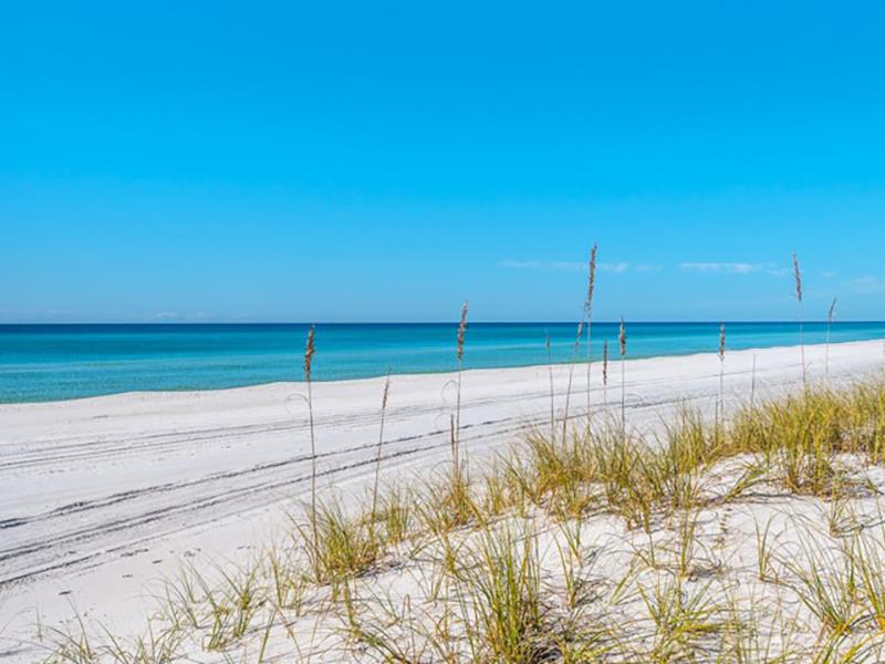 Sugar White sands are right out side your unit at San Remo Santa Rosa Beach Florida
