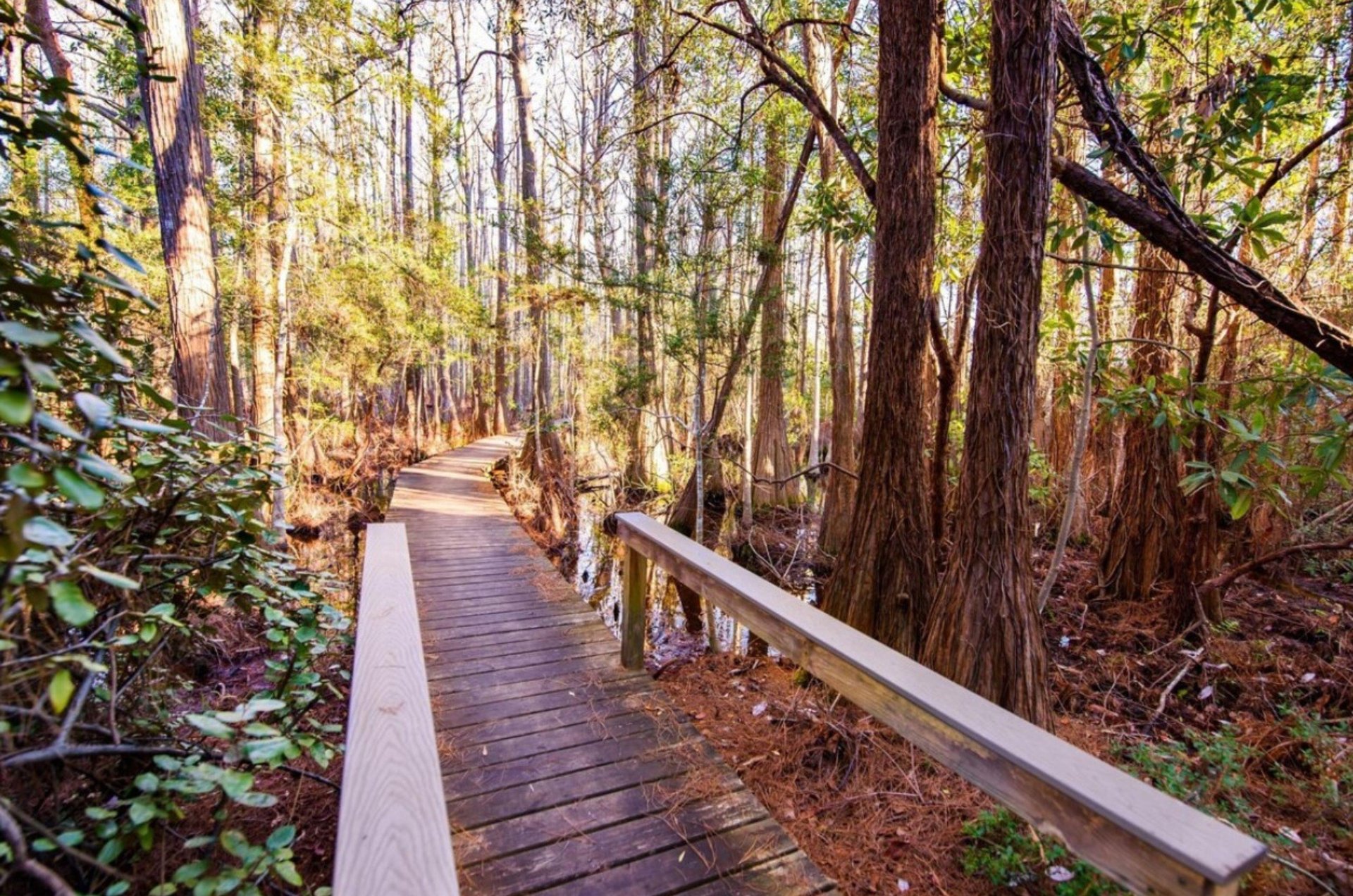 474125 Cassine Station  1552 0 202312 14