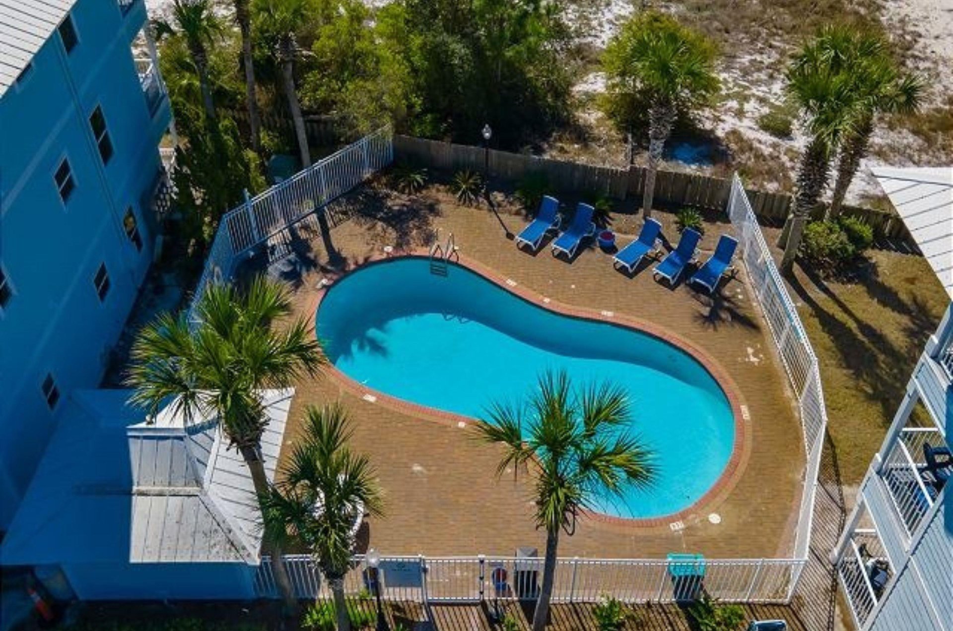 Aerial view of the outdoor swimming pool and pool deck surrounded by luscious trees
