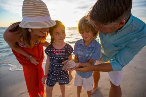 Tradewinds Island Grand in St Petersburg FL 53