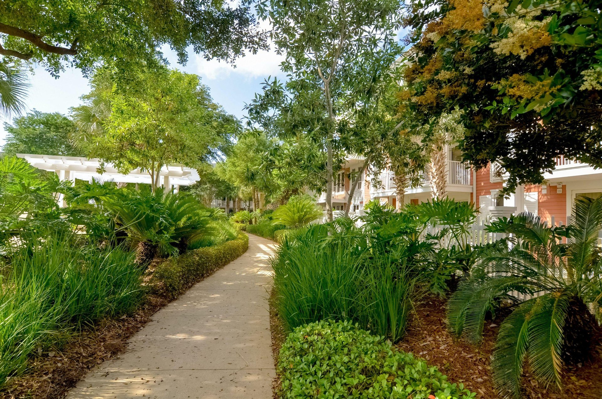 A welllandscaped path through the property