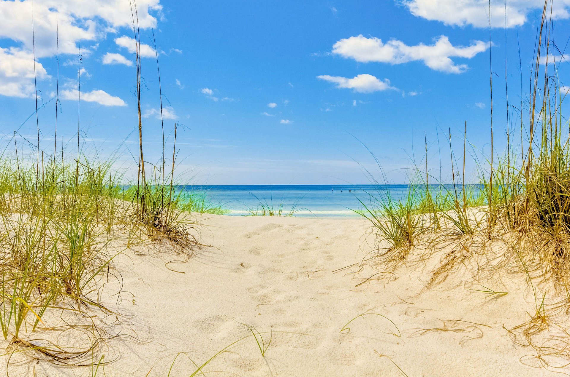 Sand dunes alongside the coast