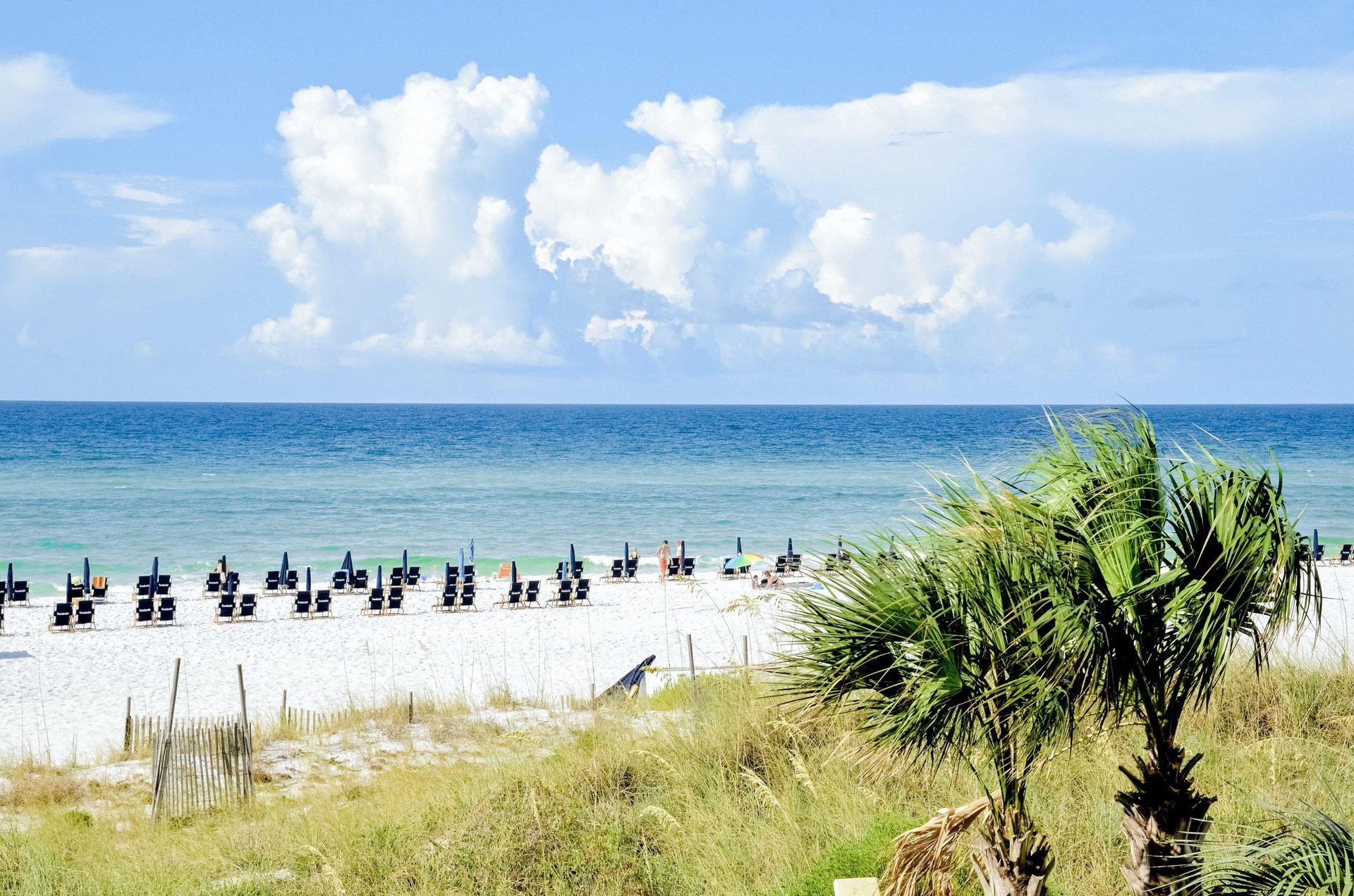 Beach chairs and umbrellas lining the Sandestin beach